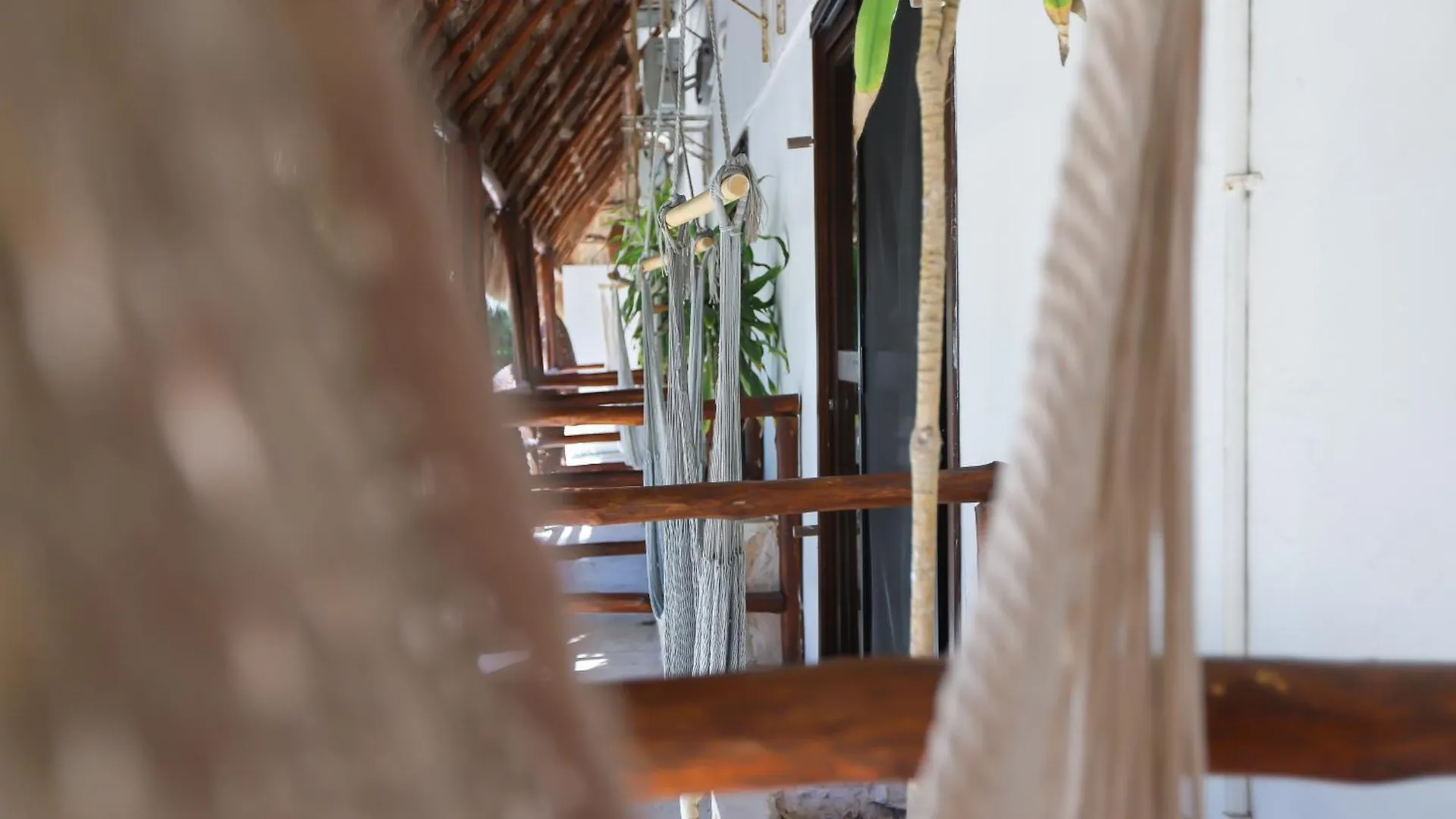 40 Canones Hotel