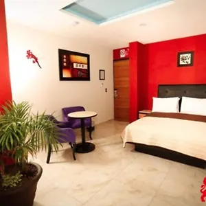 Leones 4*, Puebla Mexico