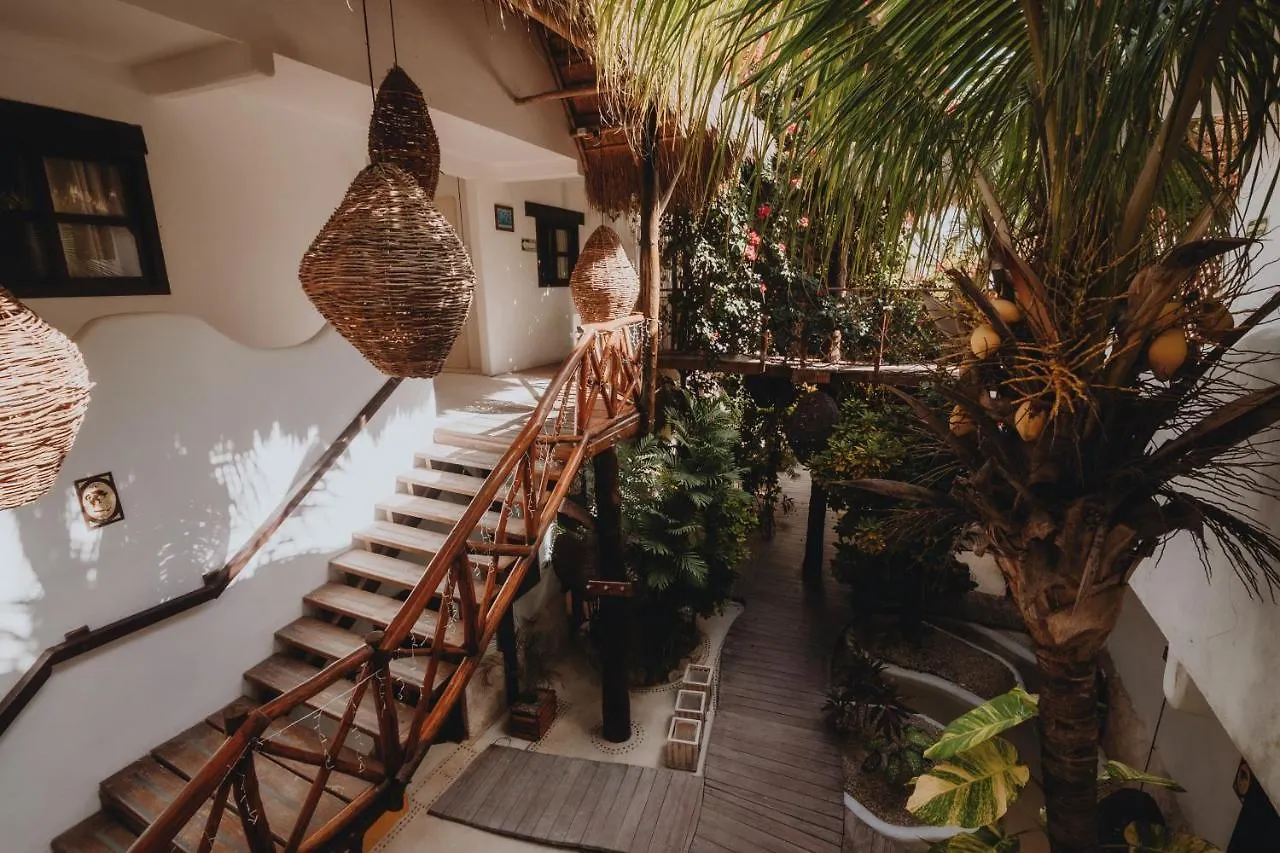 *** Hotel 40 Canones Mexico
